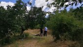 OSTAVLJENI KRVAVI U DVORIŠTU: Dvostruko ubistvo u Vranjskoj Banji počinjeno lovačkom puškom
