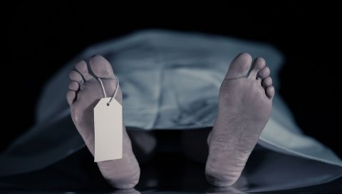 ВИДЉИВИ УЈЕДИ НА ШАЦИ И УХУ: У Батајници пронађено тело мушкарца (60)