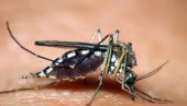 OPASAN EKSPERIMENT: U prirodu puštaju 750 miliona genetski modifikovanih komaraca