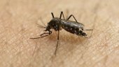 NEVEROVATAN SLUČAJ: Policija uz pomoć komarca pronašla lopova