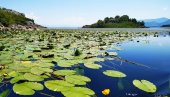 CENE NIŽE, ALI TURISTA MANJE: Sezona u Nacionalnom parku Skadarsko jezero