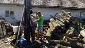 ЛЕГАЛАН КУБИК ДО 6.500 ДИНАРА: На захтев власника стоваришта, власти у Сомбору зауставиле продају дрва на улицама