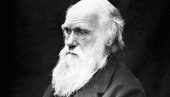 BRITANSKI PRIRODNJAČKI MUZEJ: Vrši reviziju Darvinove kolekcije u svetlu rasizma