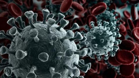 ШВЕЂАНИ ПРИЗНАЛИ: Нема колективног имунитета од корона вируса
