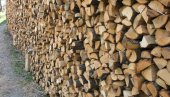 NE ISPLATI SE BESPRAVNO SEĆI DRVA: U Pirotu oduzeto 148 kubika ogrevnog drveta