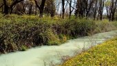 REKA KAO SEPTIČKA JAMA: Iz Krivaje pored Srbobrana širi se nesnosan smrad,  ekolozi traže da reaguje opštinska vlast