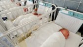BEJBI BUM U NOVOSADSKOJ KLINICI: Za 24 časa rođeno 24 bebe, među njima i blizanci