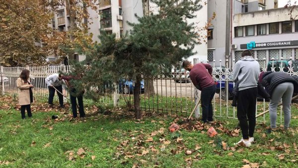 САДНИЦЕ НА ПОКЛОН Дрвеће засађено у осам школских дворишта у Смедереву
