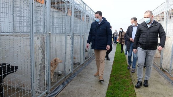 ГРОБЉЕ ЗА ЉУБИМЦЕ: Градоначелник Вуковић посетио азил за напуштене животиње и обећао