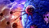 MUTIRAO NOVI SOJ KORONE: Velika zabrinutost naučnika, spontane promene virusa sve učestalije