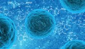 REVOLUCIONARNO NAUČNO OTKRIĆE: LJudske ćelije imaju tajanstveni „kvantni osećaj“