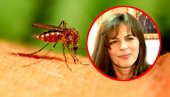 SVE O ZARAZI OD KOJE JE PREMINULA MIRA FURLAN: Prenose je komarci, samo jedan odsto ljudi ima teške simptome