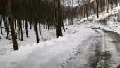 MAJKA OSTAVILA DECU BEZ ODEĆE U ŠUMI NA -15: Horor blizu Moskve, troje mališana ima ozbiljne promrzline, jedno dete na respiratoru