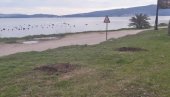 PRIMITIVIZAM I NEPOSTOJANJE ELEMENTARNE KULTURE: Skandal u Herceg Novom, vandali iščupali sadnice mimoze u Kmenarima