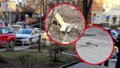 КАПИ КРВИ НА БЕТОНУ, НОЖ У ТРАВИ: Сви детаљи језивог напада у Крушевцу, човек се бори за живот због паркинг места! (ФОТО/ВИДЕО)