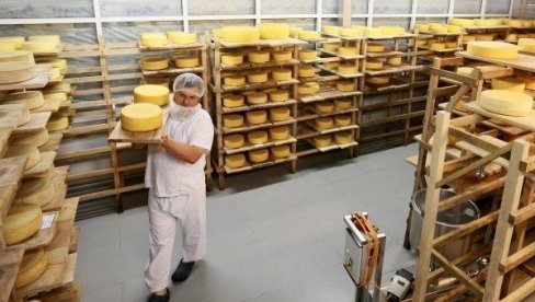 RUSKI NAUČNICI OTKRILI: Dijeta sa sirom smanjuje stres
