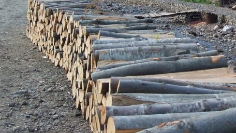 ЗАПЛЕНИЛИ 147 КУБИКА ДРВЕТА: Против несавесних дрвосеча поднето је 17 захтева за покретање прекршајних пријава