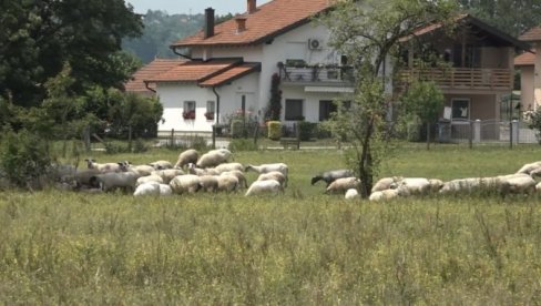 БУЈИЦА ОДНЕЛА 65 ОВАЦА И ЈАГЊАДИ: Катастрофалне последице поплава у Српској (ФОТО)
