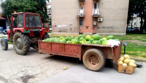 PONUDA VELETRŽNICE BEOGRAD: Stigle domaće lubenice