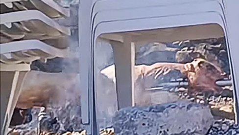 NAPRAVIŠE VAŠAR U MALOJ MOŠTANICI Snimak iz Budve napravio buru na mrežama - turisti pekli jagnje nasred plaže (VIDEO)