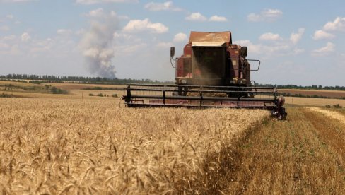 РАТАРИ НА ГУБИТКУ: Пшеница, кукуруз и сунцокрет упола јефтинији него лане
