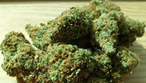 УХАПШЕН ЗБОГ ДРОГЕ: Неготинцу полиција пронашла више пакетића са марихуаном