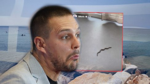 ПАКАО! Биковићу упала змија на летовању у Грчкој: Шта да је нисам видео? (ФОТО)