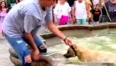 PRONAŠAO NAČIN DA SE RASHLADI U LETNJIM DANIMA: Pas nasmejao sve, nije hteo da izađe iz fontane (VIDEO)
