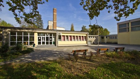 ОРМАН ПАО НА ДЕЧАКА (8): Инцидент у новосадској основној школи, повређено дете у болници