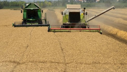 РУСИЈА САОПШТИЛА: Завршена испорука пшенице у шест најсиромашнијих земаља Африке