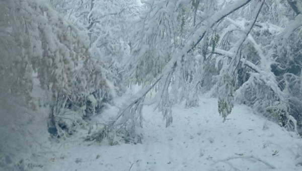 ПУТНИЦИ МОРАЛИ ДА ПЕШАЧЕ КРОЗ СМЕТОВЕ: Снег оковао Голију, саобраћај у колапсу (ФОТО)