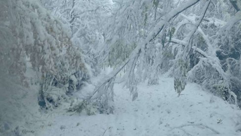 ПУТНИЦИ МОРАЛИ ДА ПЕШАЧЕ КРОЗ СМЕТОВЕ: Снег оковао Голију, саобраћај у колапсу (ФОТО)