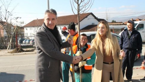 INFRASTRUKTURA I EKOLOGIJA: Nakon rekonstrukcije kanalizacione mreže, Vranje dobija novi drvored