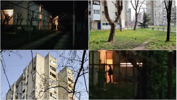 УБИСТВО, САМОУБИСТВО, СИМБОЛИ: Шта све знамо о незапамћеној трагедији која је потресла Нови Сад