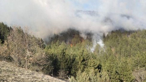 GORI 20 HEKTARA: Šumski požar u Ibarskoj klisuri kod varošice Ušće