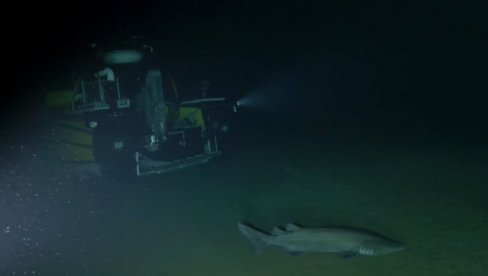 САМО СЕ ПОЈАВИО НИОТКУДА... Истраживачи на дну океана снимили ретко створење о коме се мало тога зна (ВИДЕО)