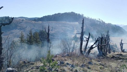 POŽAR HARA NACIONALNIM PARKOM DURMITOR: Vatra progutala 15 hektara šume i livada