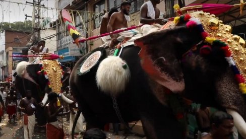 ФЕСТИВАЛ У ИНДИЈИ: Украшени слонови придружују се хиљадама Хиндуса (ВИДЕО)