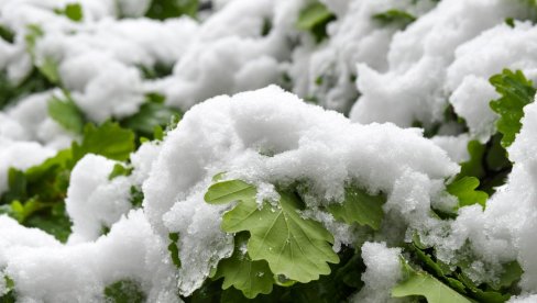 ЗАБЕЛЕЛО СЕ У ХРВАТСКОЈ: Снег пада од јутрос, хладни циклон се продубљује