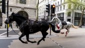 ДЕТАЉИ ДРАМЕ У ЛОНДОНУ: Познато шта се дешава са крвавим коњима који су јурили градом (ВИДЕО)
